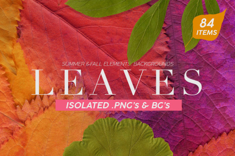 Fall Leaves Elements &amp; Backgrounds