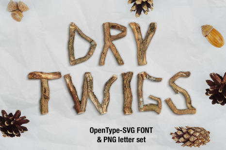Dry Twigs Font