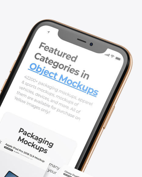 Apple iPhone 11 Pro w Cards Mockup PSD #2