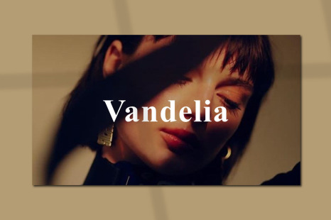 VANDELIA Bundle Presentation Template