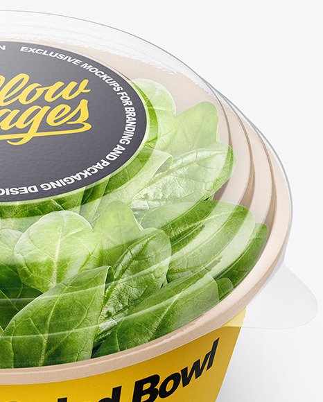 Paper Container With Salad   Transparent Cap Mockup PSD #4