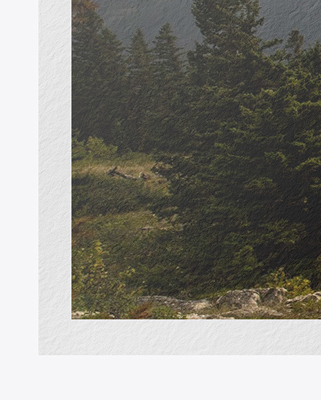 Textured A3 Poster Mockup PSD #7