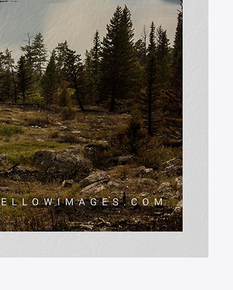 Textured A3 Poster Mockup PSD #5