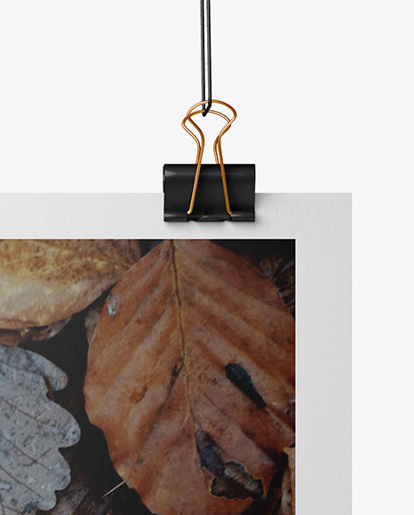 Matte Poster A3 w  Pins Mockup PSD #6