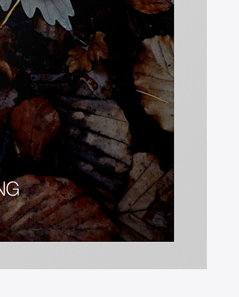 Matte Poster A3 w  Pins Mockup PSD #5