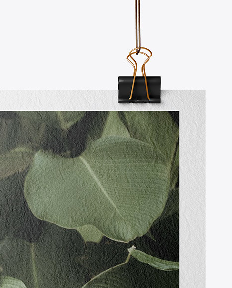 Textured Poster A4 w  Pins Mockup PSD #5