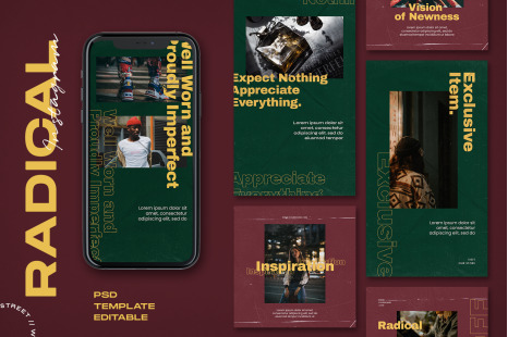 Radical - Instagram Stories &amp; Post Template