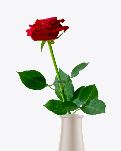 Ceramic Vase with Rose Flower Mockup PSD #2