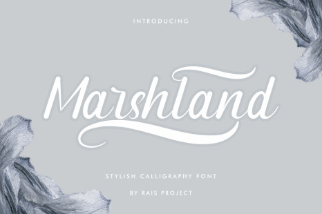Marshland Elegant Calligraphy Font