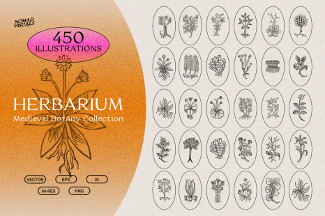 Herbarium - Botanical Collection