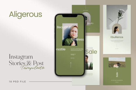 Aligerous -  Instagram Stories &amp; Post Template