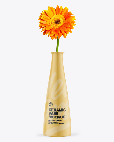 Ceramic Vase with Gerbera Flower Mockup