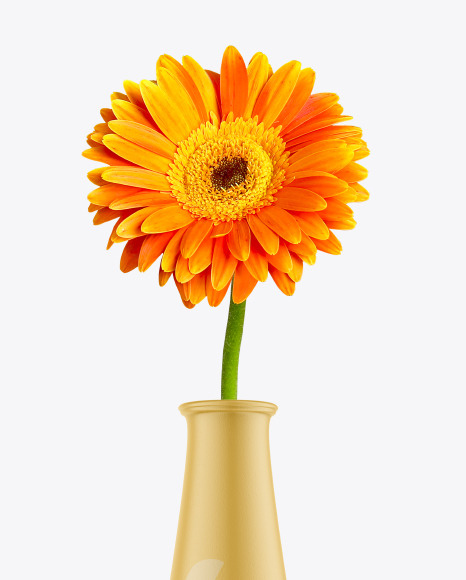 Ceramic Vase with Gerbera Flower Mockup PSD #2