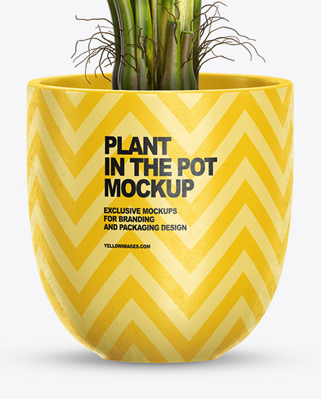Banana Palm in the Pot Mockup PSD #6
