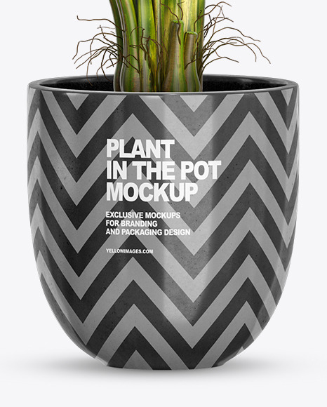 Banana Palm in the Pot Mockup PSD #1