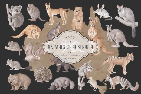 Animals of Australia