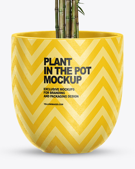 Bamboo in the Pot Mockup PSD #6