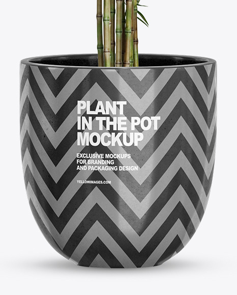 Bamboo in the Pot Mockup PSD #1