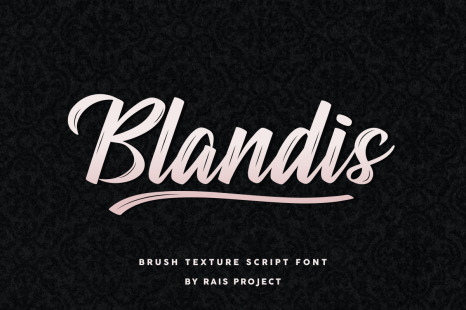 Blandis Brush Textured Script Font