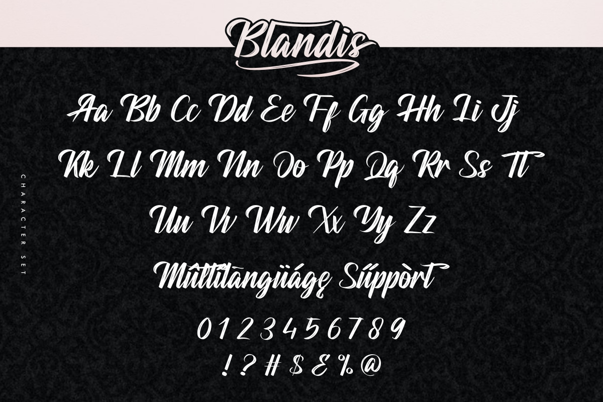 Blandis Brush Textured Script Font on Yellow Images Creative Store