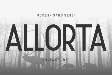 Allorta Type Face Font