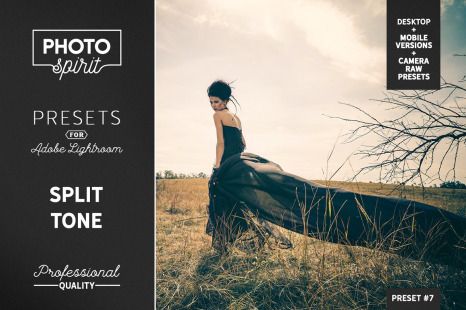 Split Tone LR Presets Mobile + Desktop