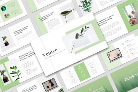 Venice - Nature Business Google Slide Template