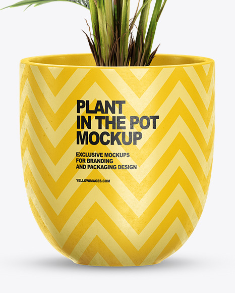 Palm in the Pot Mockup PSD #1