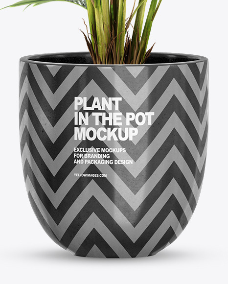 Palm in the Pot Mockup PSD #6