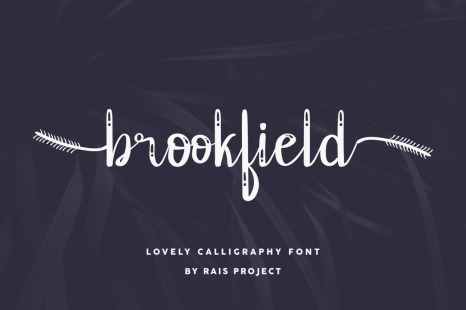 Brookfield Calligraphy Font