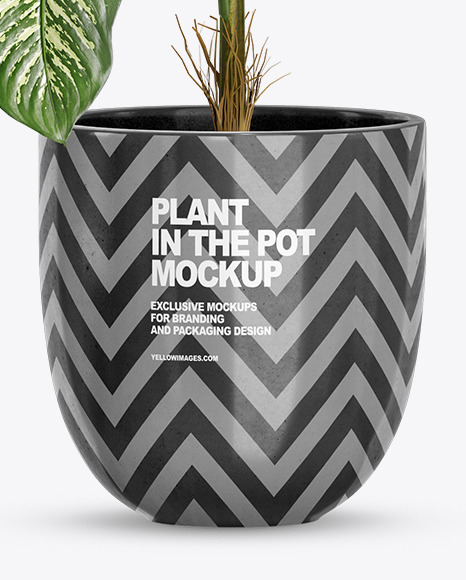Dieffenbachia in the Pot Mockup PSD #6