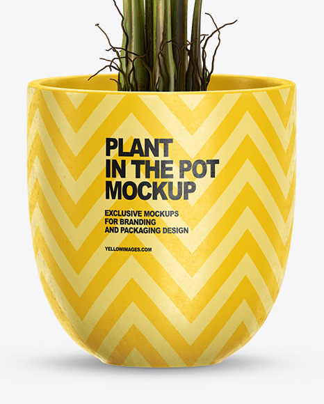 Banana Palm in the Pot Mockup PSD #1
