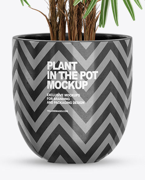 Rhapis in the Pot Mockup PSD #6
