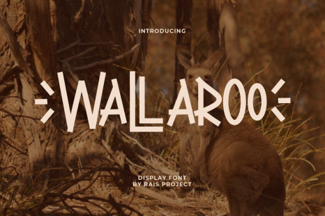 Wallaroo Display Sans Serif Font