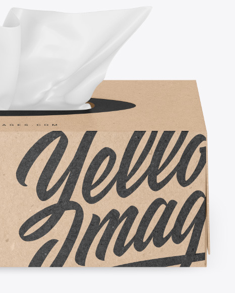 Kraft Box w  Wipes Mockup PSD #1