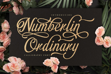 Numberline Ordinary - Script Font