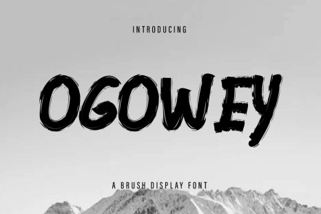 Ogowey Rough Brush Display Font