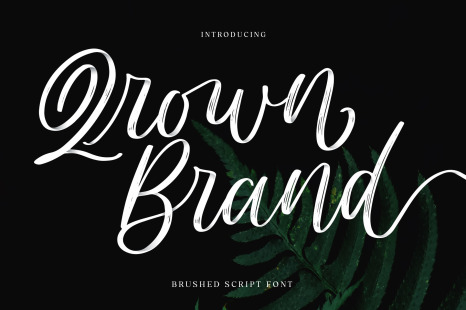 Qrown Brand Front