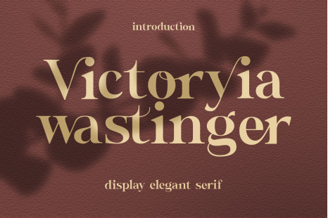 Wastinger Elegant Display