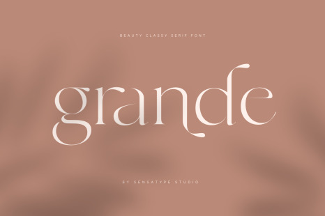 Grande - Beauty Classy Serif Font