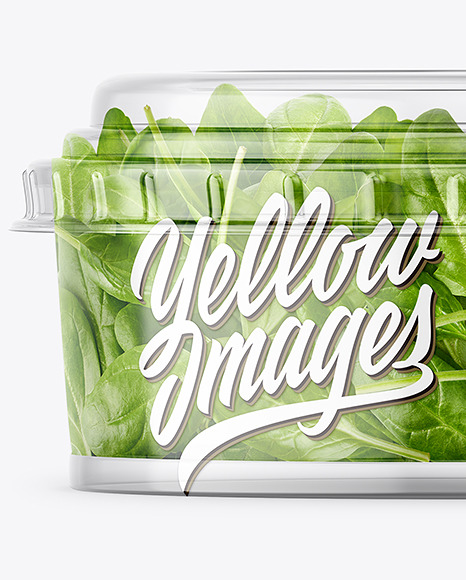 Clear Plastic Container with Salad Mockup PSD #3