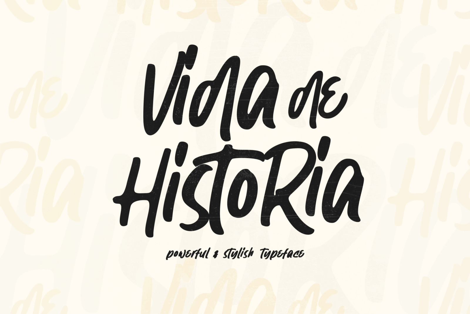 Vida de Historia - Stylish Typeface