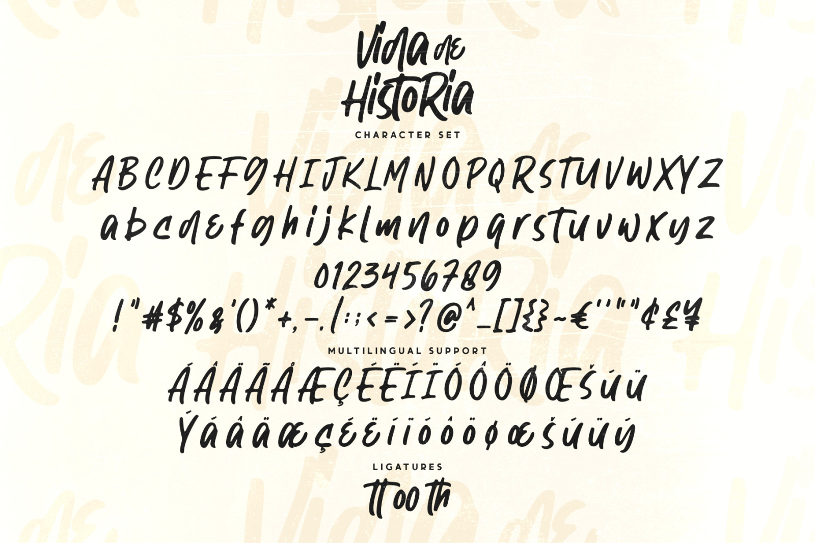 Vida de Historia - Stylish Typeface