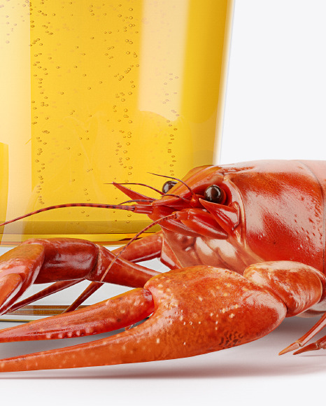 Lager Pint Glass   Crayfish Mockups PSD #6