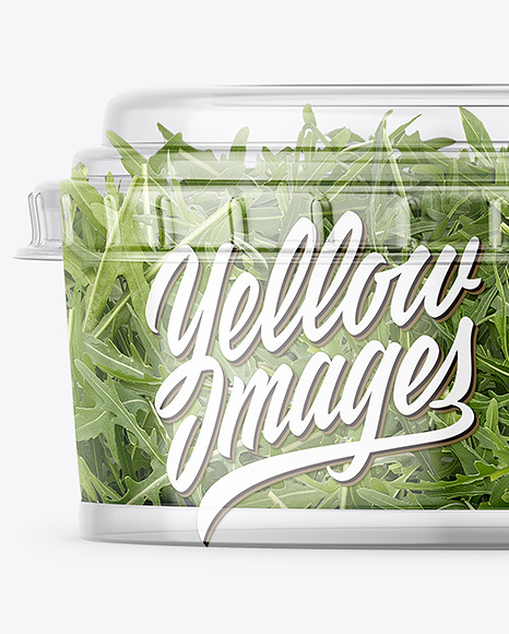 Clear Plastic Container with Arugula Salad Mockup Clear Plastic Container with Arugula Salad Mockup