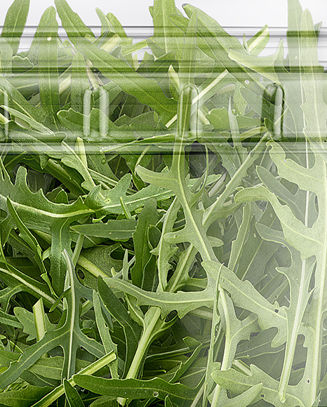 Clear Plastic Container with Arugula Salad Mockup Clear Plastic Container with Arugula Salad Mockup
