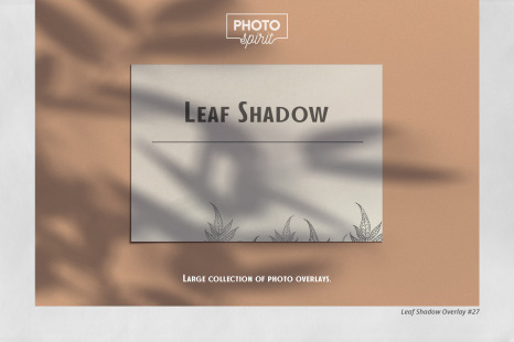 Leaf Shadow Overlays