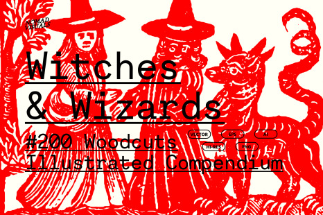 Witches &amp; Wizards