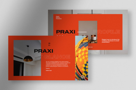 Praxi - Elegant Company Business PPT