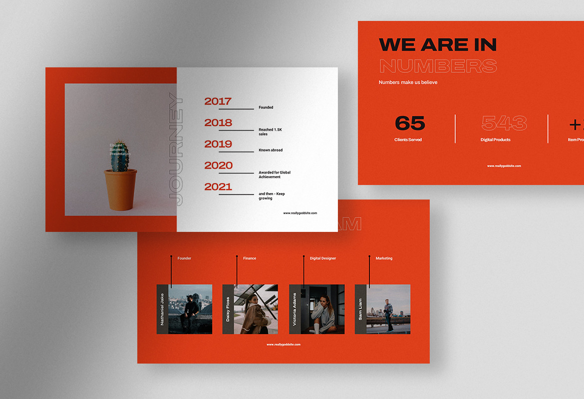 Praxi - Elegant Company Business PPT